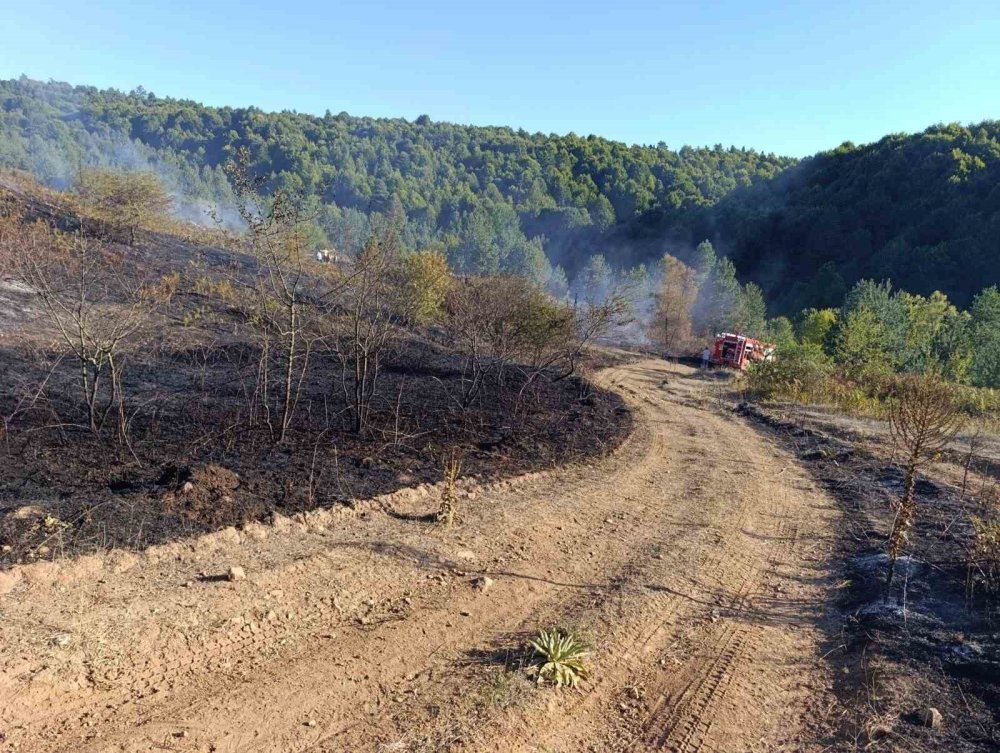 Bozcaarmut’ta Orman Yangını