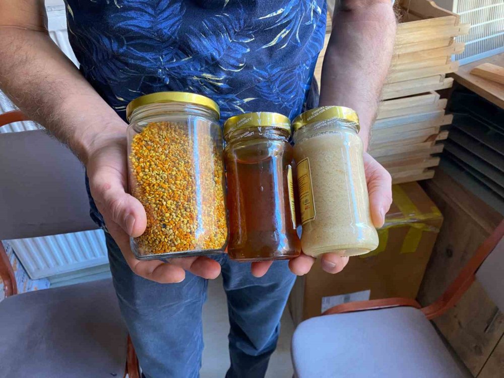 Bal Üretimi Kuraklık Ve Don Olayları Nedeniyle Düşüşte