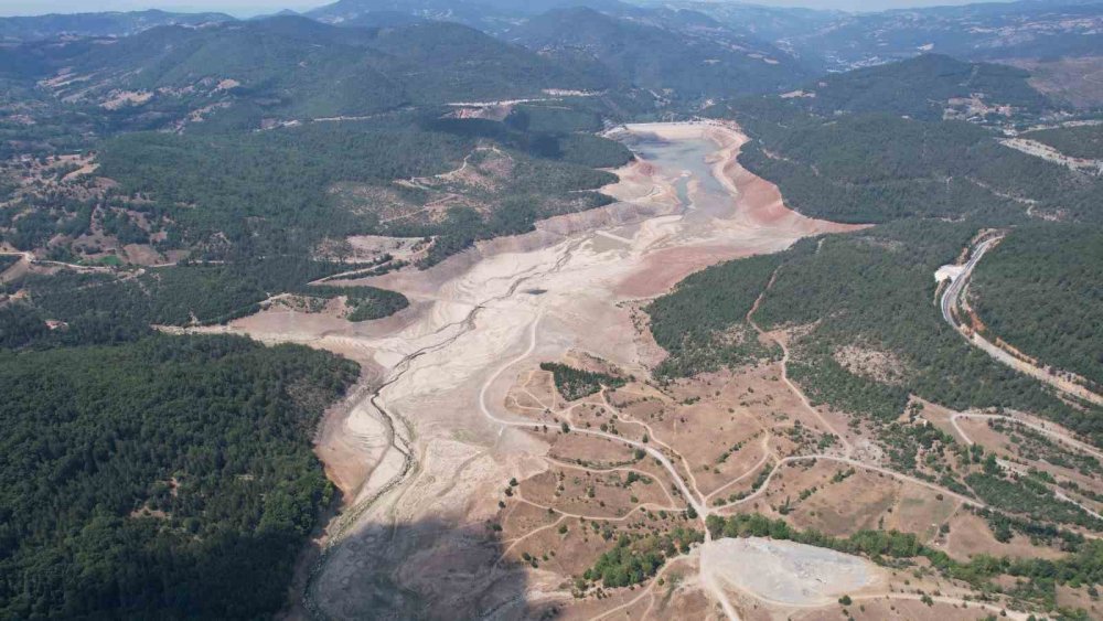 Su Kesintisi Dedikodusu, Su Tüketimini Patlattı