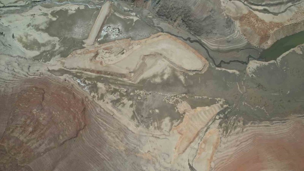 Su Kesintisi Dedikodusu, Su Tüketimini Patlattı