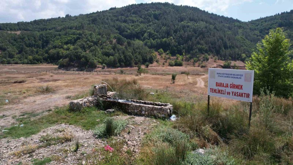 Su Kesintisi Dedikodusu, Su Tüketimini Patlattı