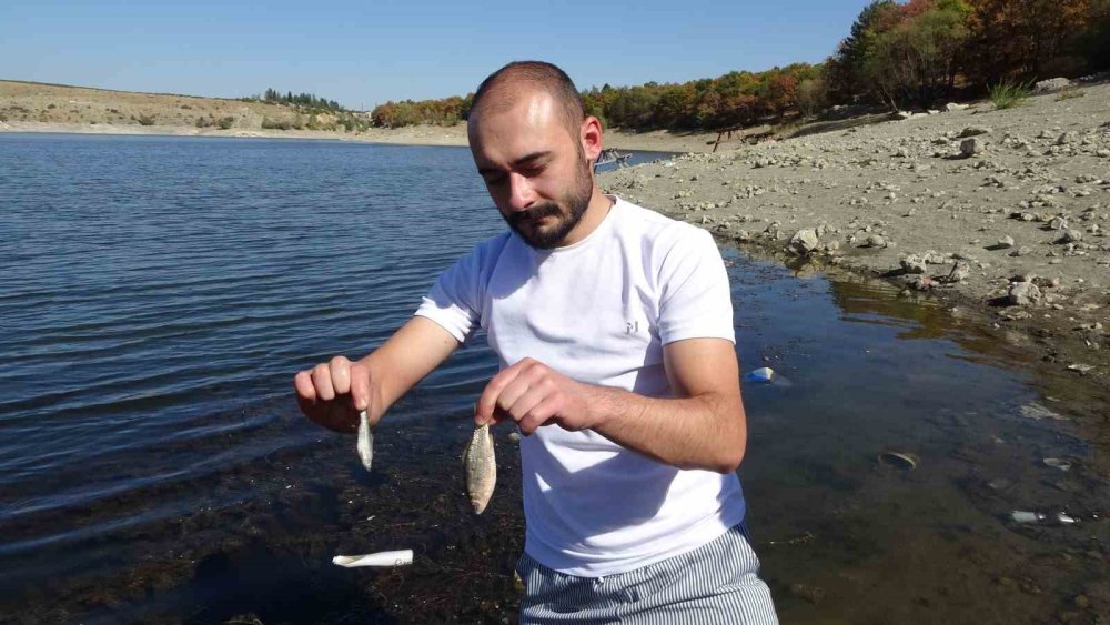 Toplu Balık Ölümleri Tedirgin Etti