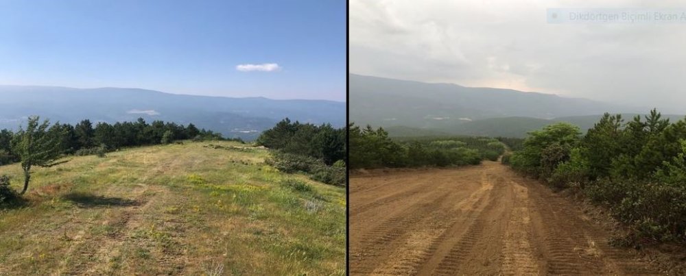 Orman Yangınlarıyla İlgili Alınan Tedbirler Meyvelerini Verdi