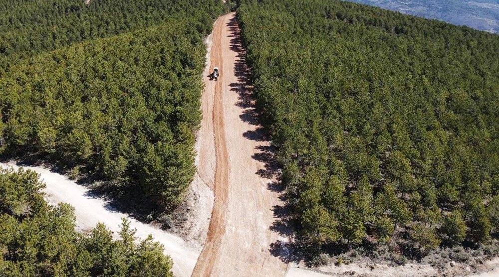 Orman Yangınlarıyla İlgili Alınan Tedbirler Meyvelerini Verdi