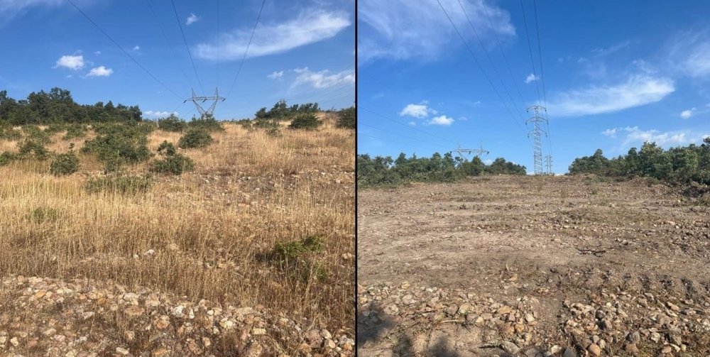 Orman Yangınlarıyla İlgili Alınan Tedbirler Meyvelerini Verdi