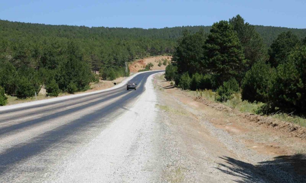 Orman Yangınlarıyla İlgili Alınan Tedbirler Meyvelerini Verdi