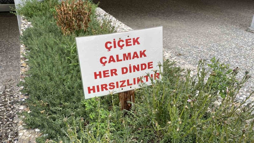 Bahçesinden Sürekli Çiçek Çalınan Apartmanın Yöneticisinden İlginç Uyarı