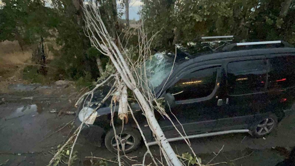 Üzerine Ağaç Dalı Düşen Araç Kullanılamaz Hale Geldi