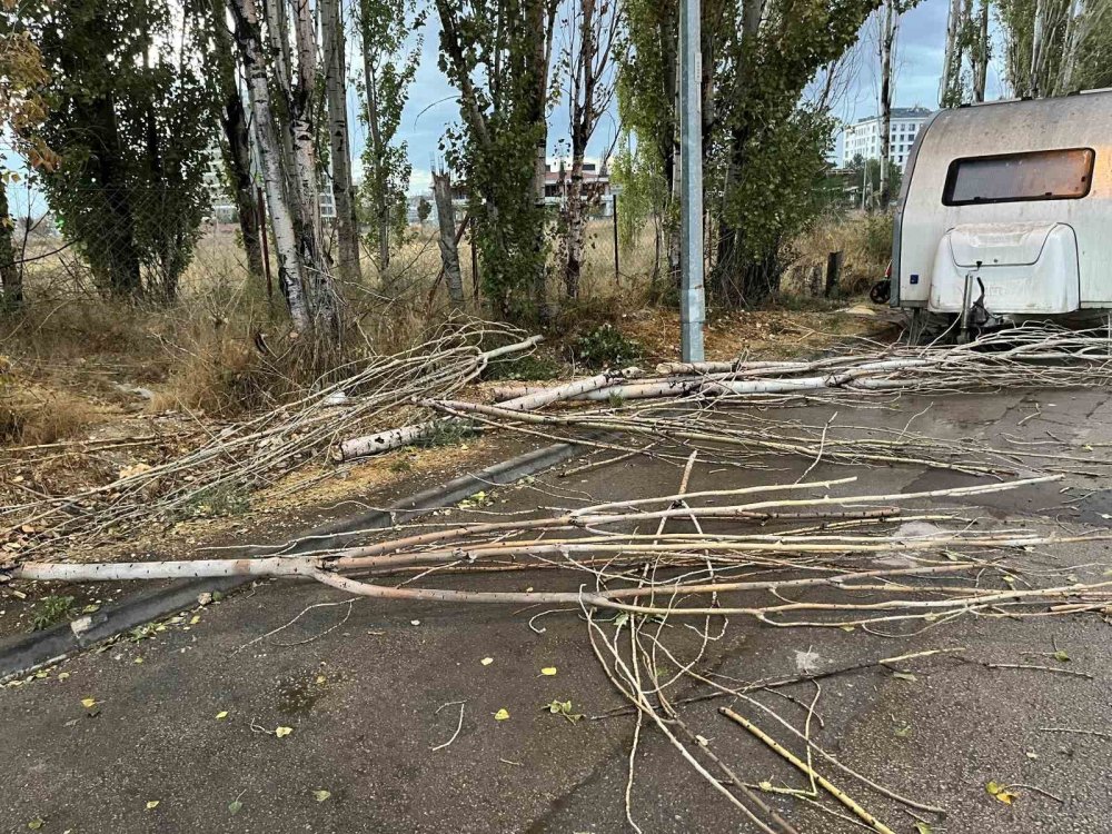 Üzerine Ağaç Dalı Düşen Araç Kullanılamaz Hale Geldi