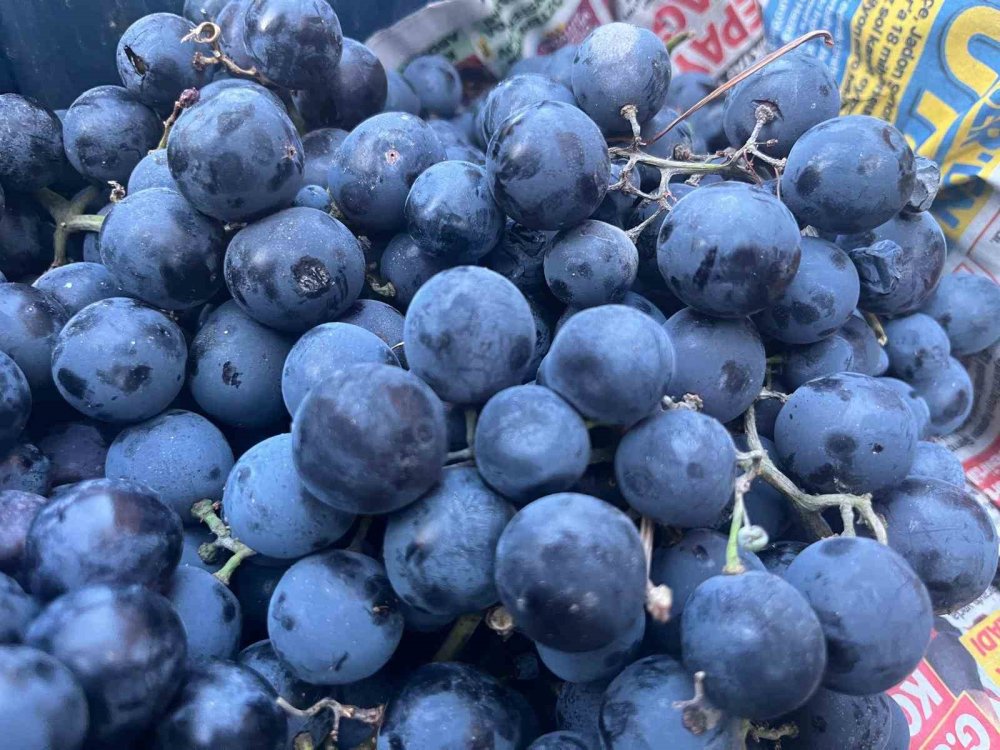 Alaşehir’in Üzümleri Semt Pazarında
