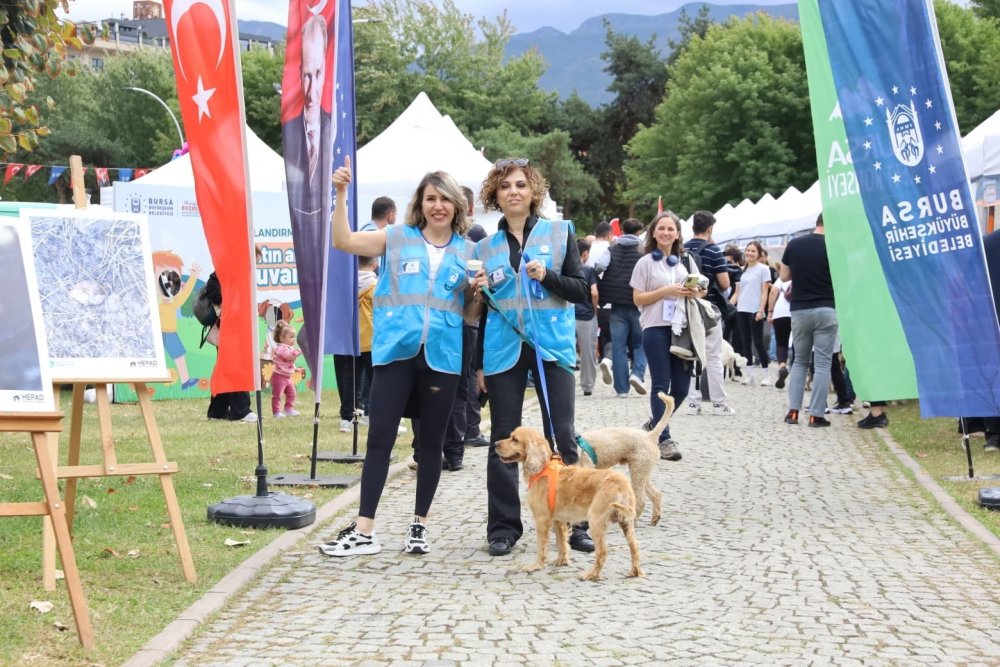Can Dostlar Yuvalarına Kavuştu