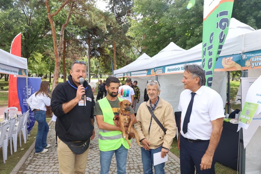 Can Dostlar Yuvalarına Kavuştu