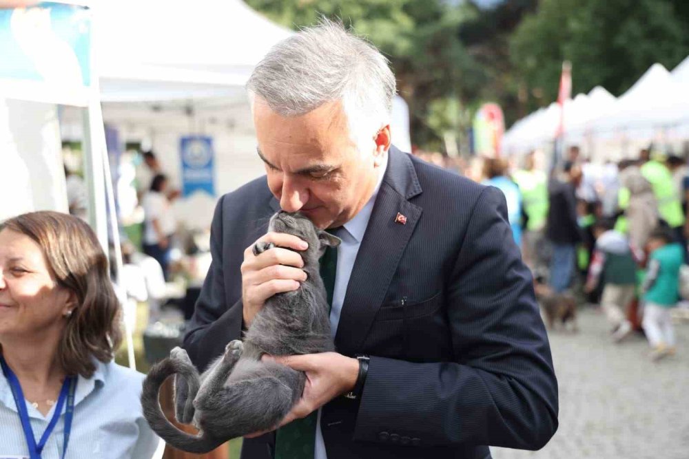 Can Dostlar Yuvalarına Kavuştu