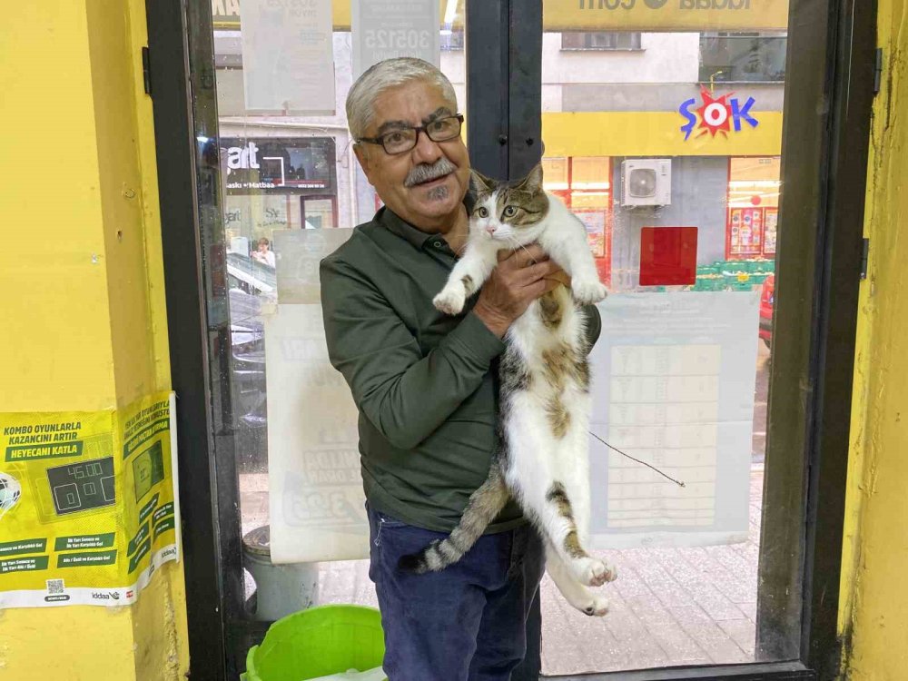 Terk Edilen Kediye İşletmeci Sahip Çıktı