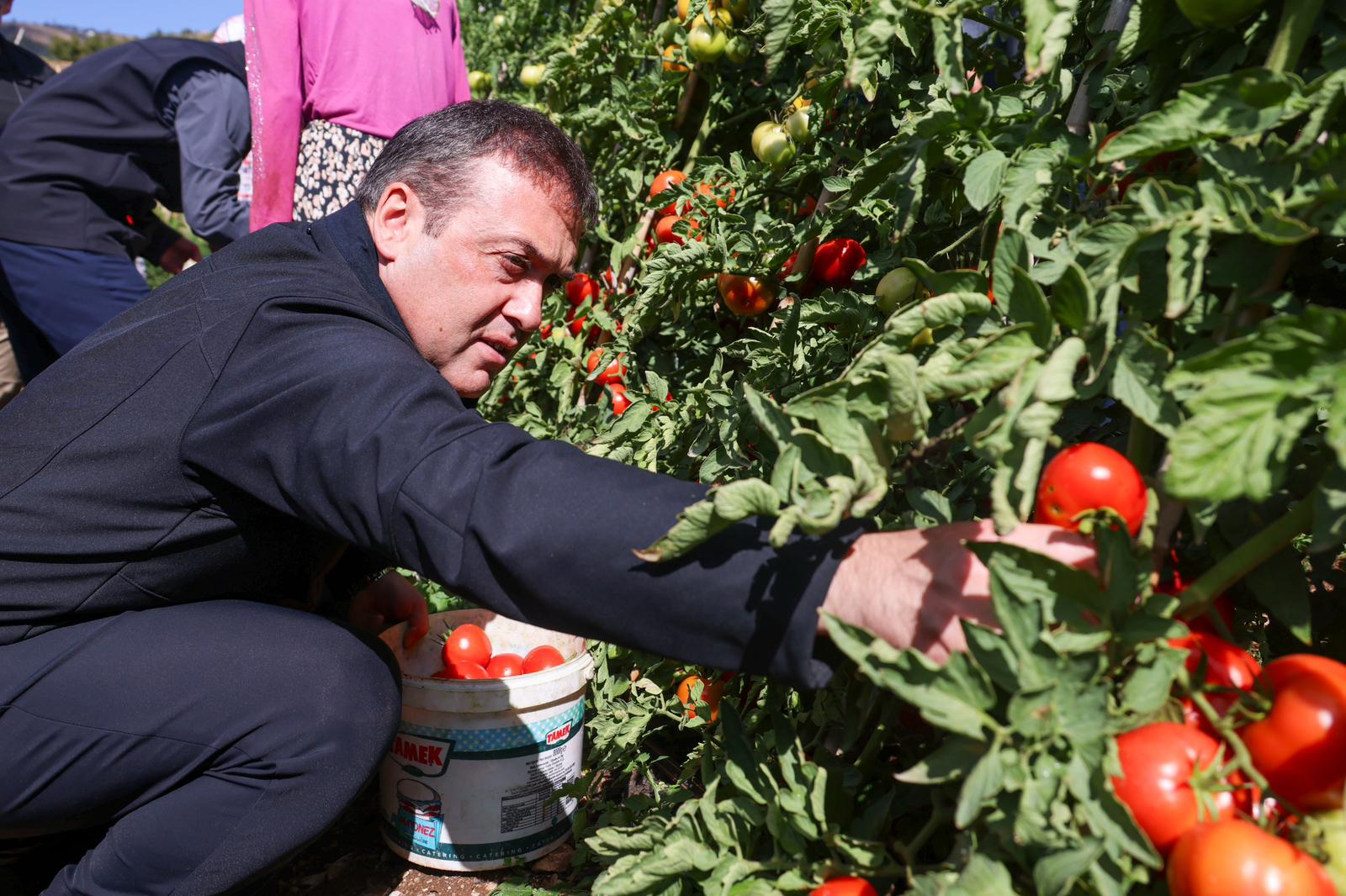 bilecikin-domates-deposu-osmaneli1.jpg