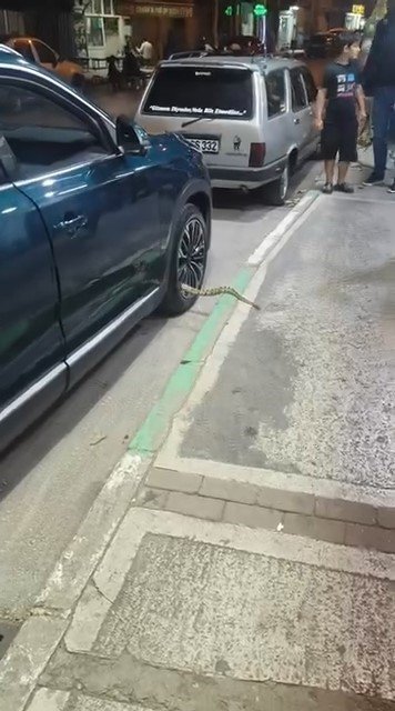 Otomobilin Jantından Yılan Çıktı