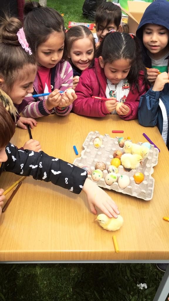 Dünya Yumurta Günü’nde Renkli Etkinlik
