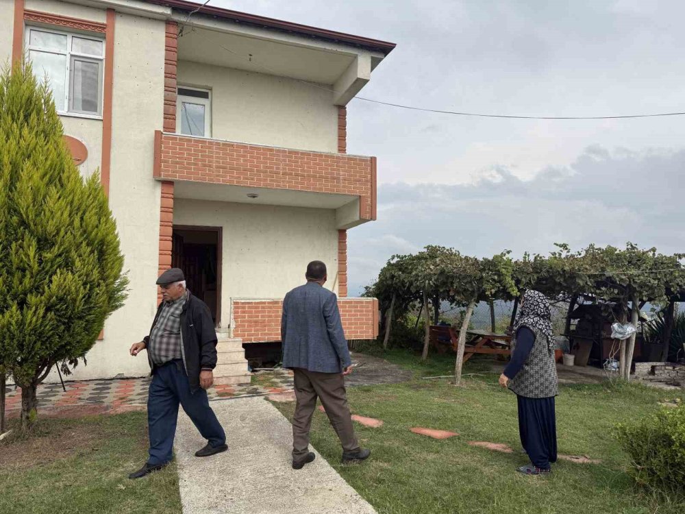 Kahverengi Kokarca Böceği Toruna Hasret Bıraktı: "Böcekler Olmasa Gelecekler Ama Korkuyorlar"