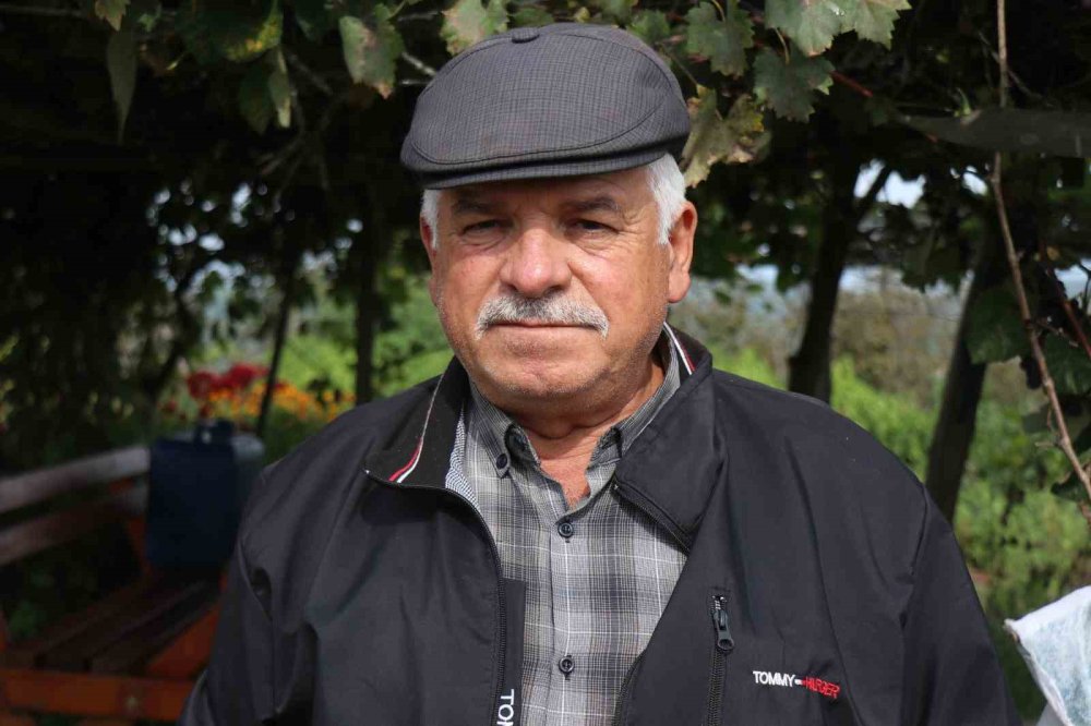 Kahverengi Kokarca Böceği Toruna Hasret Bıraktı: "Böcekler Olmasa Gelecekler Ama Korkuyorlar"