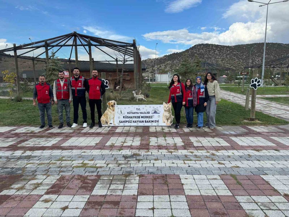 Sahipsiz Hayvanlara Mama Desteği