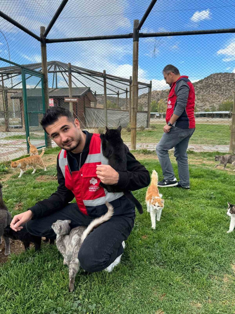 Sahipsiz Hayvanlara Mama Desteği
