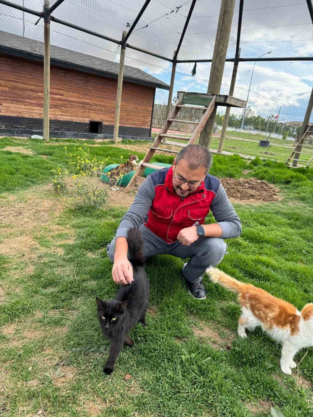 Sahipsiz Hayvanlara Mama Desteği