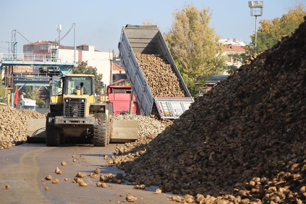Tarım Bakanlığı: "Kuraklık Nedeniyle Şeker Pancarı Üretimini Kısıtlamayacağız"