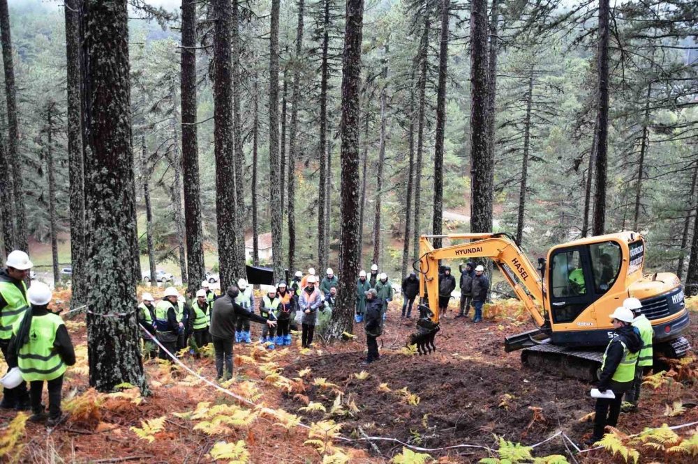 Orman Bölge Müdürlüğünde "Silvikültürel Uygulamalar" Konulu Eğitim