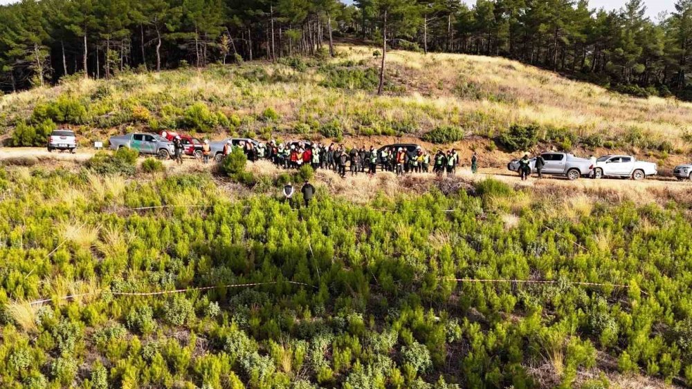 Orman Bölge Müdürlüğünde "Silvikültürel Uygulamalar" Konulu Eğitim
