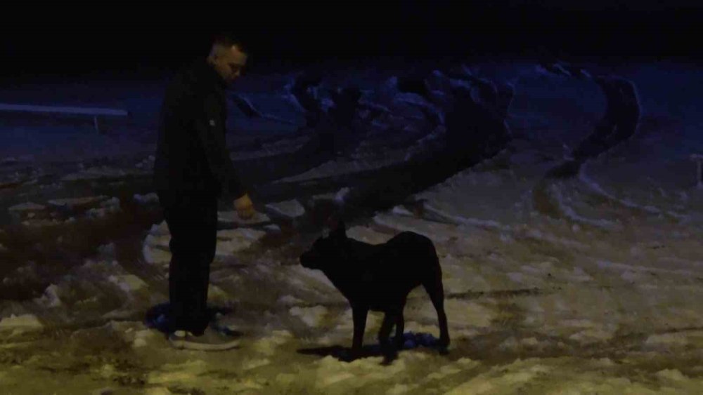 Kar Yağışını Görenler Gece Yarısı Uludağ’a Akın Etti