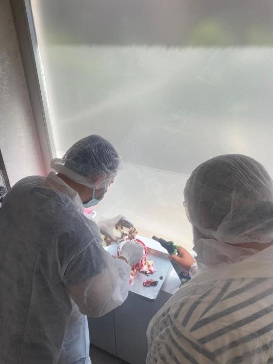 Askeri Birliklerde Düzenli Gıda Kontrolü