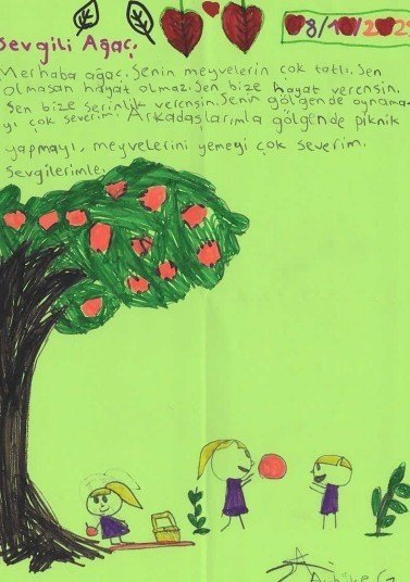 Öğrenciler Yazdıkları Mektuplar İle ’yeşil Vatan’a Seslendi