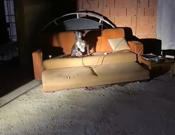 Kaldığı Apartmanı 3 Gün Üst Üste Yaktı