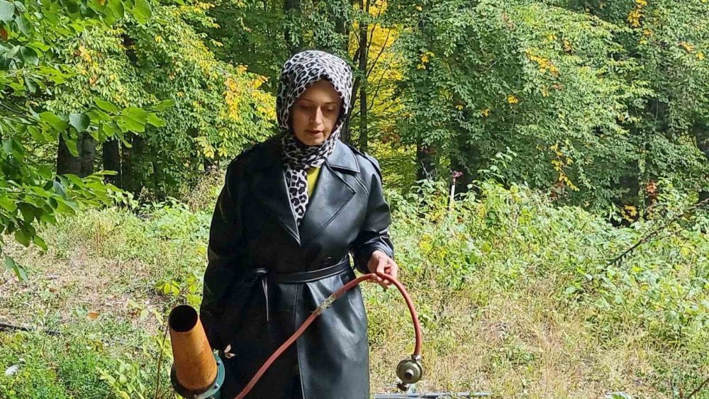 Genç Girişimcinin 2 Dönümlük Ahududu Bahçesini Ayılar Talan Etti