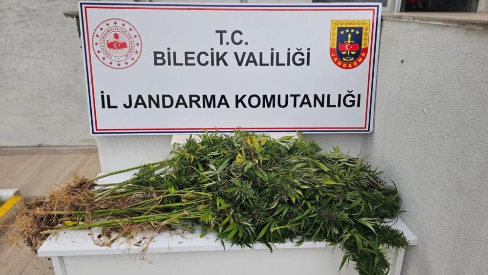 kenevir-ele-gecirildi.jpg