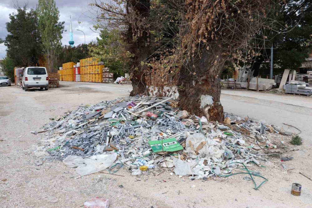 Ağacın Çevresindeki Moloz Ve Sanayi Atıklarına Tepki