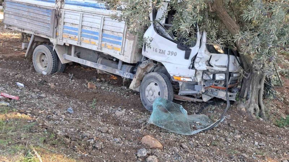 Kamyon Otomobille Çarpıştı: 1 Yaralı