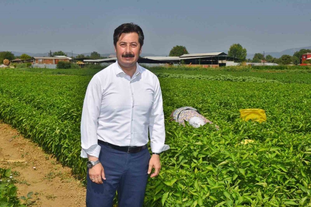 Dünya Gıda Pazarında Bu Ürünler Yer Alacak