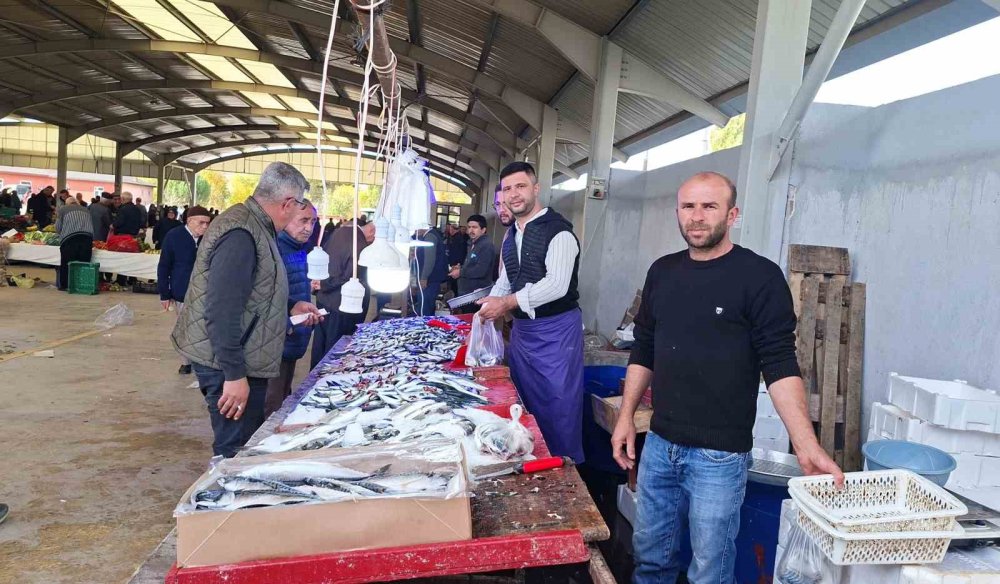 Balık Fiyatları Düştü