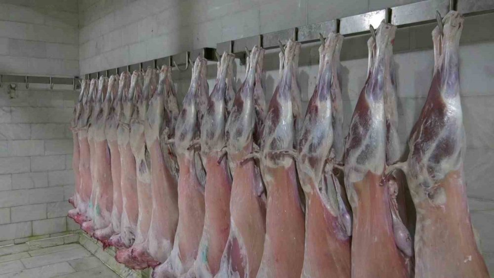 Yetiştirilen Etler Türkiye’de Beğeniyle Tüketiliyor