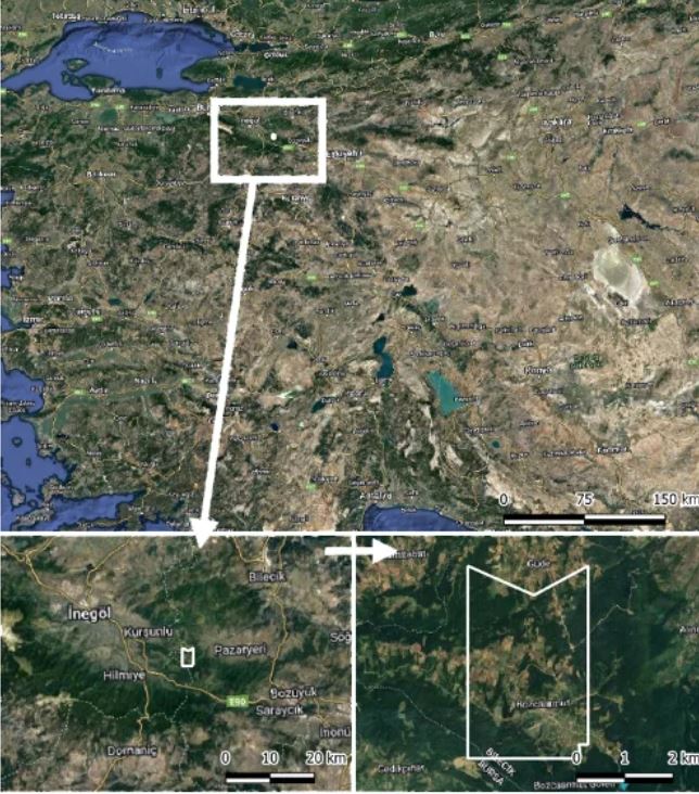 temadan-bozcaarmut-uyarisi.jpg