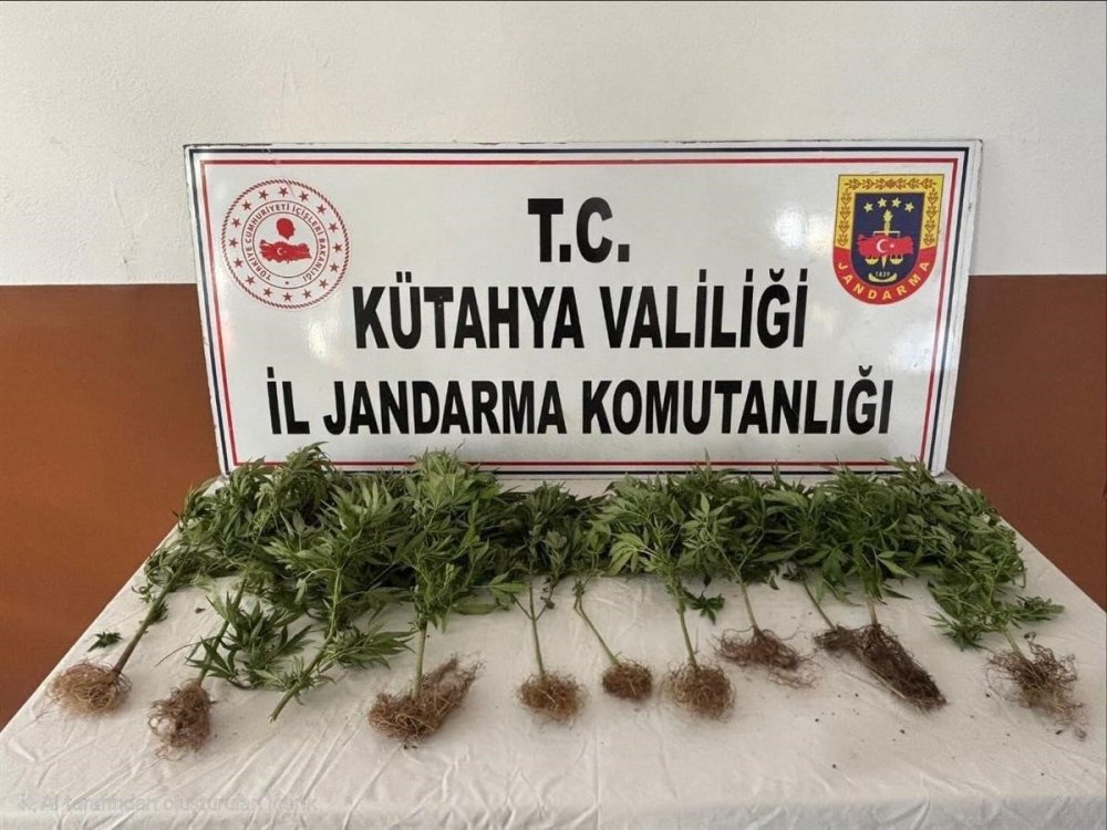 Jandarmadan Uyuşturucu Operasyonu: 2 Şüpheli Tutuklandı