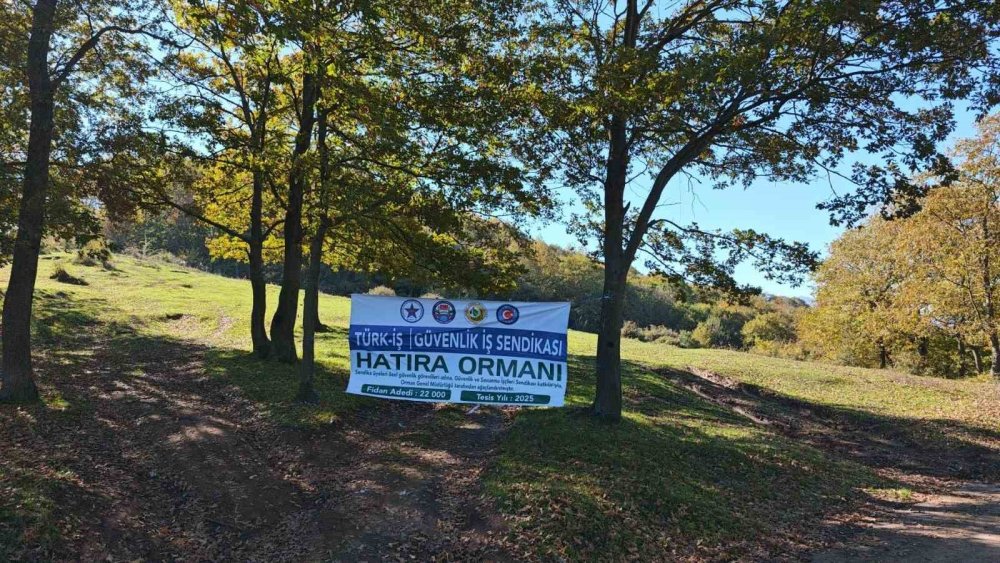 22 Bin Fidan Toprakla Buluştu