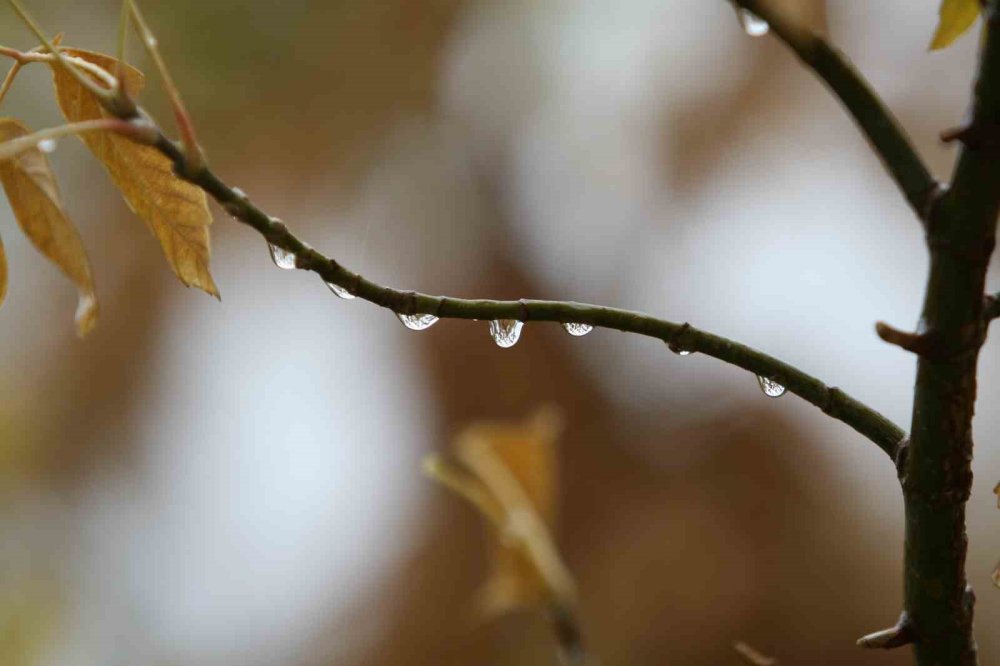 Bursa’da Yağışlar Ekim Ayını Kurtardı