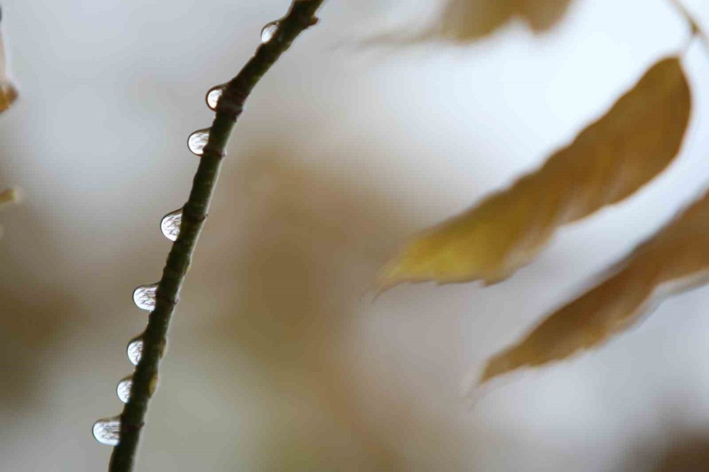 Bursa’da Yağışlar Ekim Ayını Kurtardı