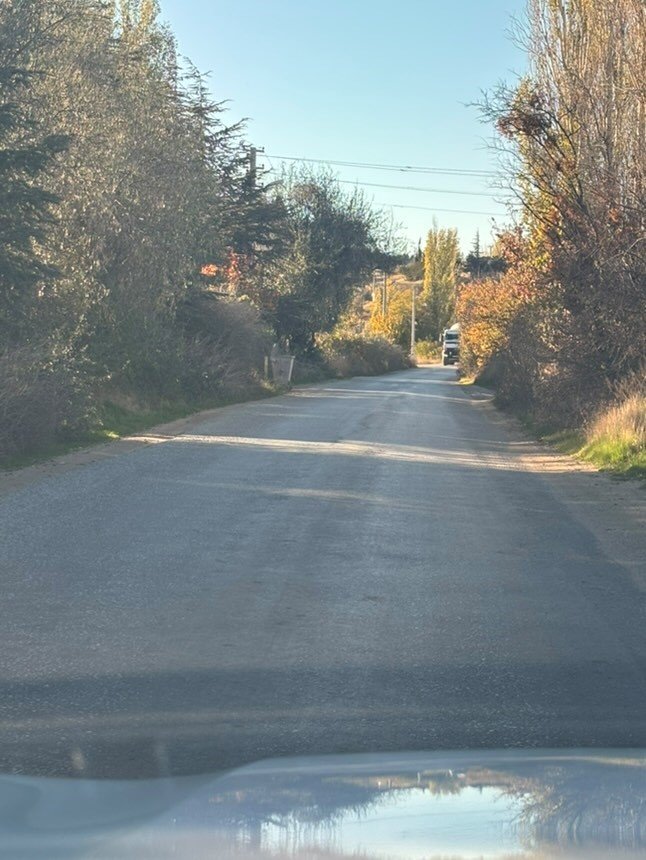 Uzayan Ağaç Dalları Sürücülere Zorluk Yaşatıyor