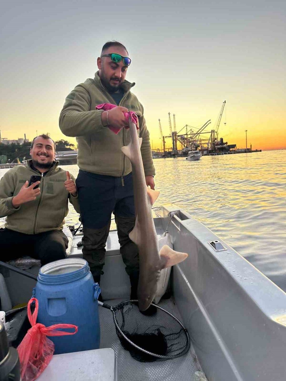 Balıkçıların Oltasına Köpek Balığı Takıldı