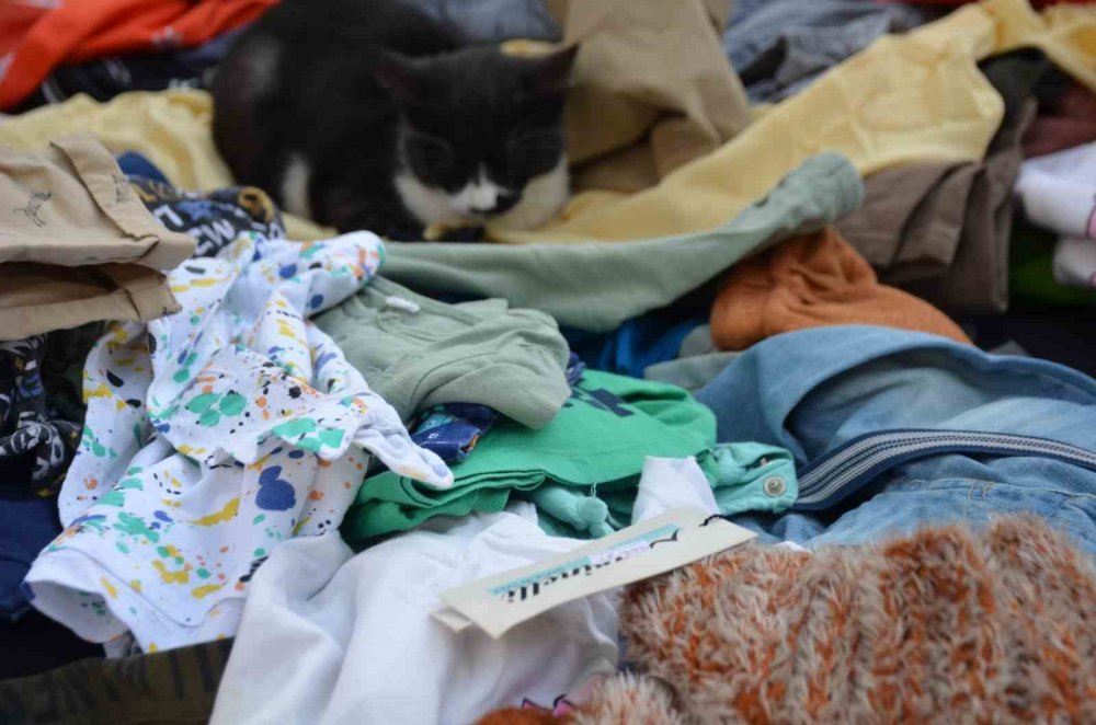 Üniversite öğrencilerine burs için üretiyorlar