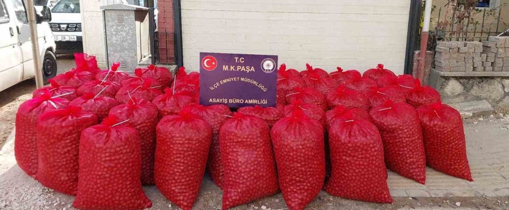 Hırsızlar 46 Çuval Ceviz İle Yakalandı