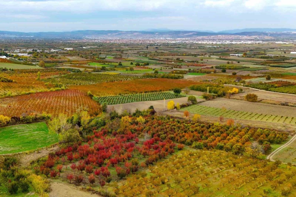 Sonbaharın Renk Cümbüşü Uludağ'da